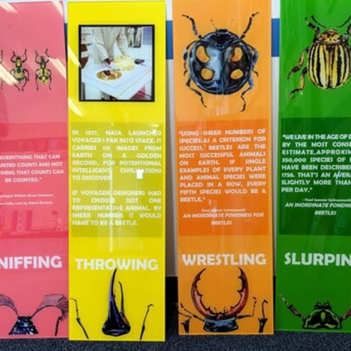 Acrylic Signs